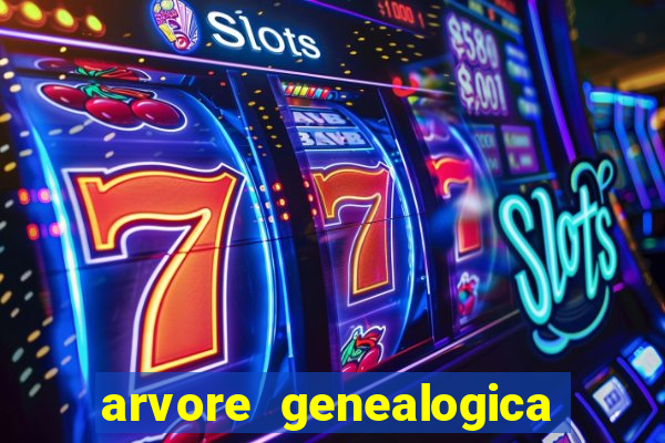 arvore genealogica dos gracie